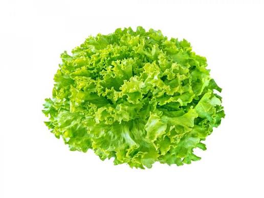 Salade Verte